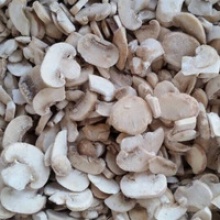 iqf frozen boletus edulis mushroom - product's photo