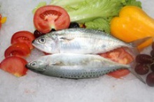 whole round frozen seafood indian fish mackerel - product's photo