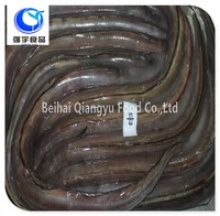 fish product type and frozen style conger eel - product's photo
