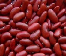 fresh red speckled kidney beans - product's photo