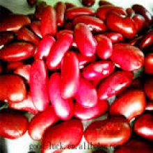 dry red kidney beans - product's photo