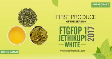 ftgfop1 jethikupi white tea 2017 - product's photo