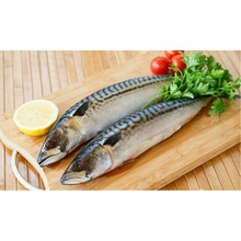 frozen fish mackerel - product's photo