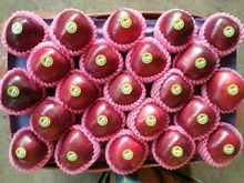 fresh red sweet chinese huaniu apples - product's photo