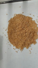 durum wheat - product's photo
