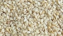 white sesame seed - product's photo