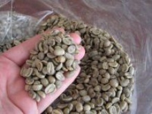 arabica green coffee beans - product's photo