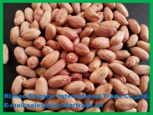 food grade peanut kernel groundnut kernel 28/32 - product's photo