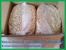 blanched peanut kernel vacuum bags 25/29 - product's photo