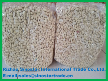 blanched peanut kernel vacuum bags 29/33 - product's photo