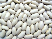 chinese yunnan large white kidney beans - product's photo
