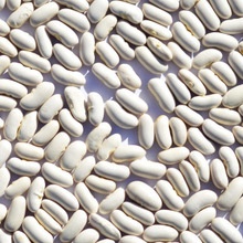 high quality white kidney beans - product's photo