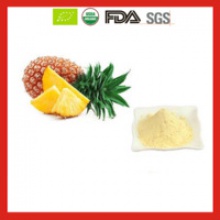 organic freeze dried pineapple/freeze dried fruit powder with good pri - product's photo