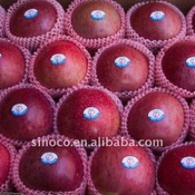fresh red apple fruit (huaniu) - product's photo