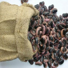  new crop black speckled kidney beans - product's photo