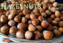 wholesale hazelnut without shell for sale at very good prices - product's photo