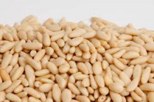 grade a pine nuts wholesalers at very cheap price - product's photo