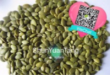 china pumpkin seeds kernel - shine skin aa/a - product's photo