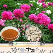 paeonia lactiflora pall. extract cas - product's photo