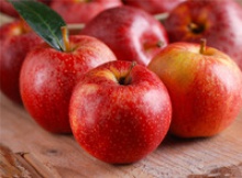 wholesale prices apple fruit fresh gala apple - product's photo