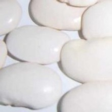 we are supplying medium white kidney beans - product's photo