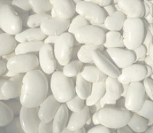 medium white kidney beans with excellent quality for sale - product's photo