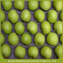 name of green apple fruits - product's photo