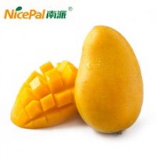 natural spray dried fresh mango fruit beverage powder - product's photo