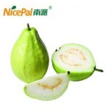 natural spray dried fresh guava fruit beverage powder - product's photo