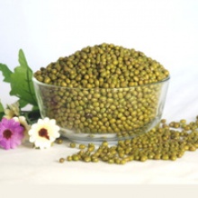 agricultural crop green mung bean buyers with lower price - product's photo
