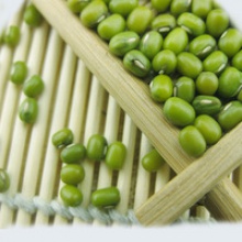 high quality new crop green mung beans specification - product's photo