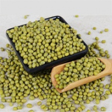 green mung bean production - product's photo