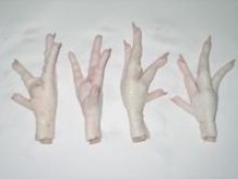 halal frozen chicken paws - product's photo