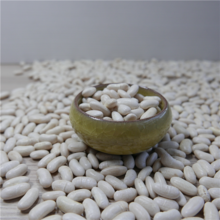 new crop beans/white beans - product's photo