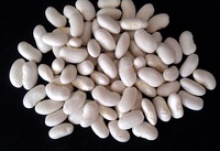 new crop white kidney bean wholesale - product's photo