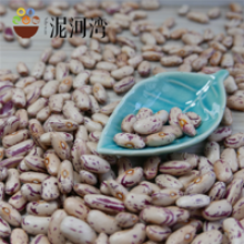 light speckled kidney beans (lskb) pinto beans/sugar  - product's photo