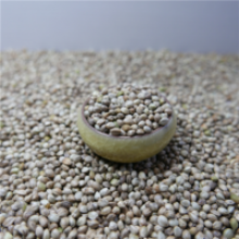 hulled seed shelled organic hemp seeds wholesale - product's photo