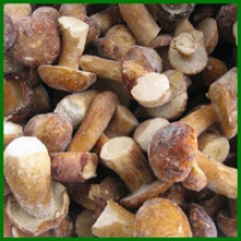 cultivated brown frozen porcini mushroom whole - product's photo