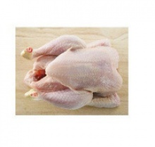 lebanese origin grade a halal frozen whole chicken - product's photo