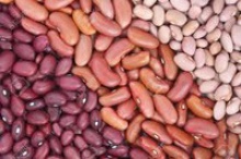 pink speckled kidney beans - product's photo