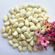new crop white kidney beans export in china - product's photo