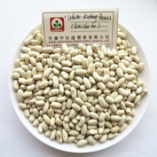 new crop white kidney beans baishake price - product's photo