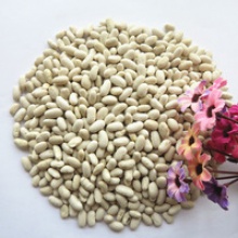  white kidney beans from china - product's photo