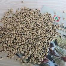 black eye beans-new crop and best price - product's photo