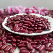 red kidney beans with good price - product's photo