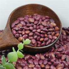small red kidney bean 2016 crop good price high quality - product's photo