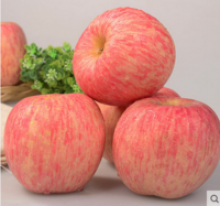 good brand farm fresh fruits of fuji apple for wholesales - product's photo