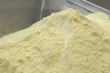 skimmed/goat milk powder - product's photo