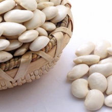 common cultivation white kidney beans - product's photo