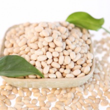  white kidney bean on sale - product's photo